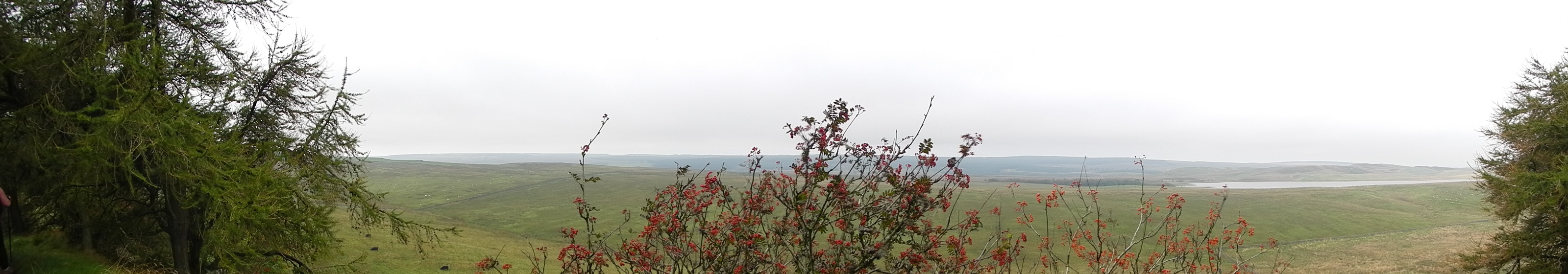 Panorama looking north of Hadrian's wall across the moors