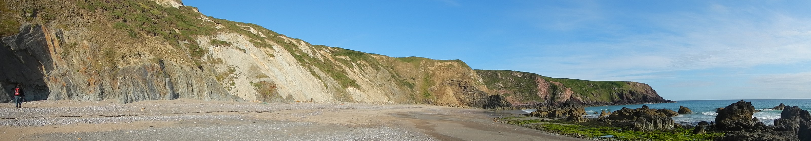 Panoramic view looking from the sea towards a cliff section Greyscale close-up photograph of the dendroid graptolite Dictyoneam, showing net-like pattern of the graptolite's stipes connected to each other by small bars of periderm.